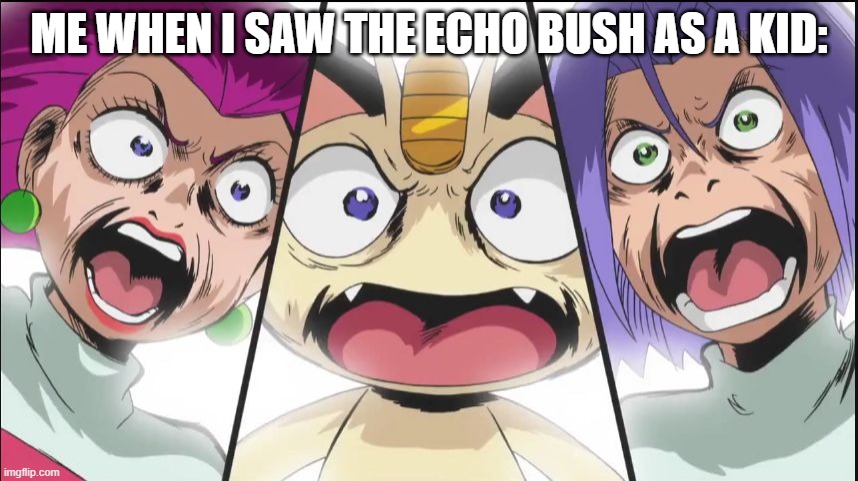 Pokemon oh god | ME WHEN I SAW THE ECHO BUSH AS A KID: | image tagged in pokemon oh god | made w/ Imgflip meme maker