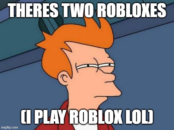 THERES TWO ROBLOXES (I PLAY ROBLOX LOL) | image tagged in memes,futurama fry | made w/ Imgflip meme maker