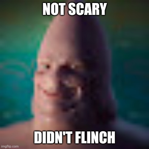 Low quality realistic patrick | NOT SCARY DIDN'T FLINCH | image tagged in low quality realistic patrick | made w/ Imgflip meme maker