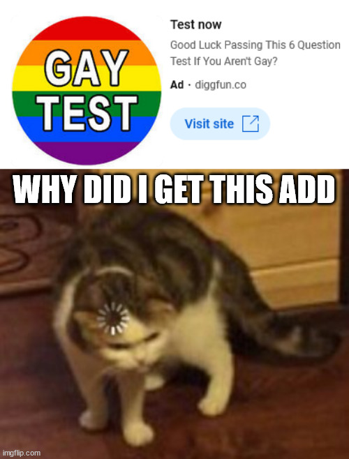 WHY DID I GET THIS ADD | image tagged in loading cat | made w/ Imgflip meme maker