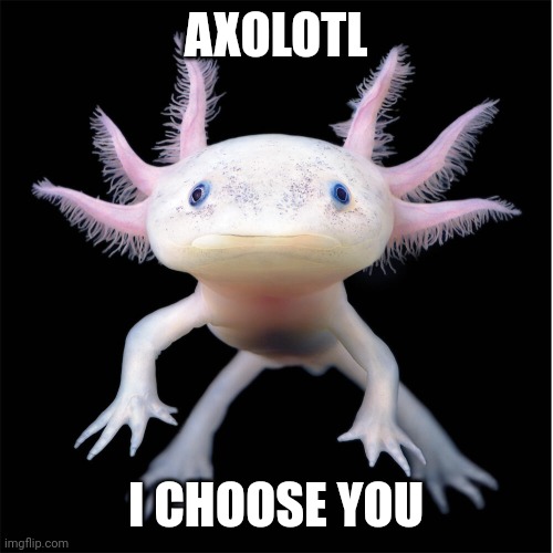 Pokemon irl | AXOLOTL; I CHOOSE YOU | image tagged in pokemon,video games | made w/ Imgflip meme maker