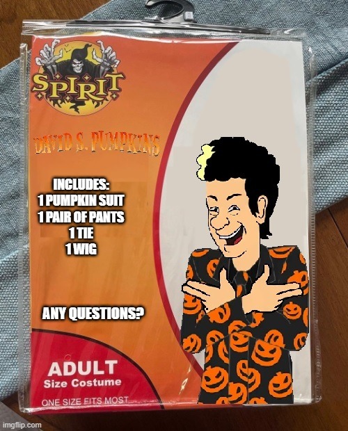 David Pumpkins | INCLUDES:

1 PUMPKIN SUIT
1 PAIR OF PANTS
1 TIE
1 WIG; ANY QUESTIONS? | image tagged in spirit halloween | made w/ Imgflip meme maker
