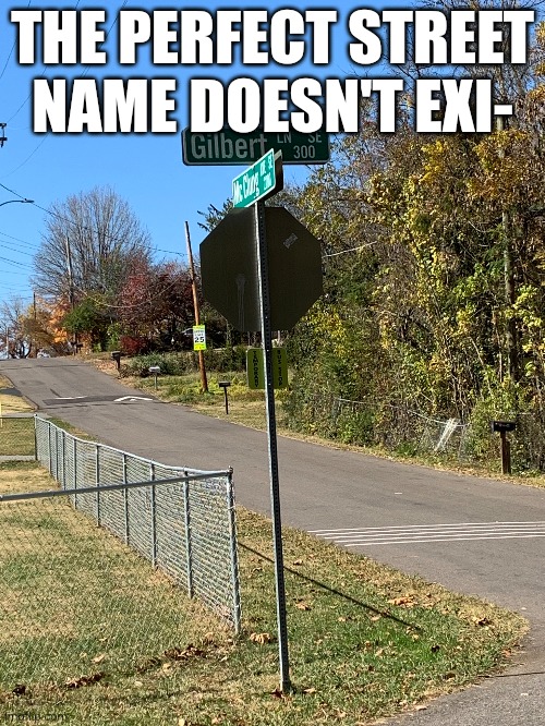 Gilbert | THE PERFECT STREET NAME DOESN'T EXI- | image tagged in street signs | made w/ Imgflip meme maker