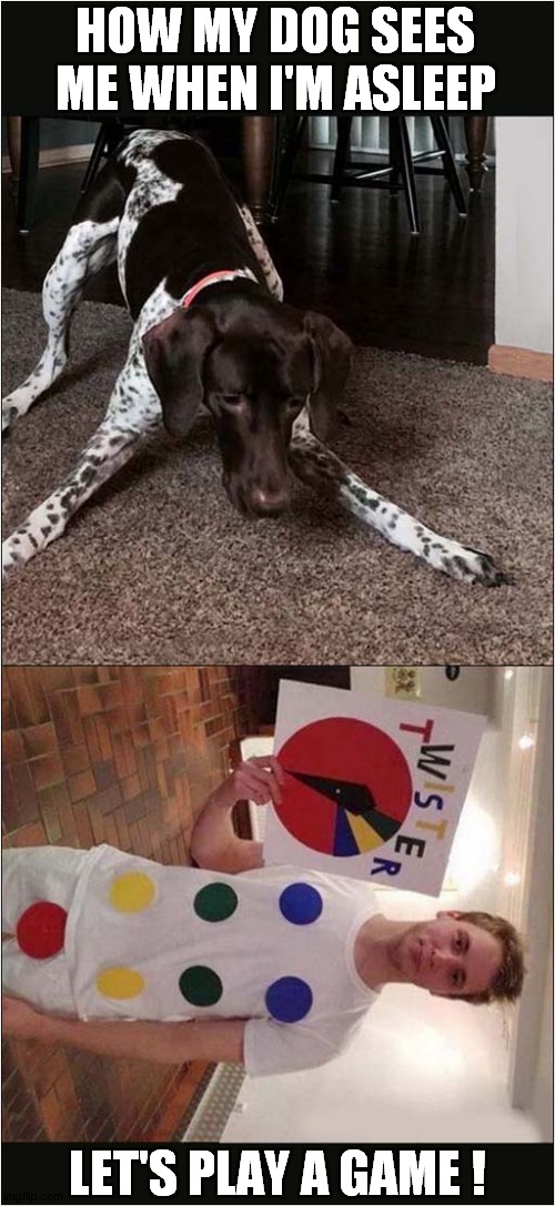Why Does The Pointer Always Land On Red ? | HOW MY DOG SEES ME WHEN I'M ASLEEP; LET'S PLAY A GAME ! | image tagged in dogs,twister,trampled on,pointers | made w/ Imgflip meme maker