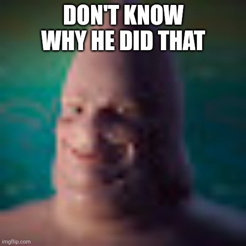 Low quality realistic patrick | DON'T KNOW WHY HE DID THAT | image tagged in low quality realistic patrick | made w/ Imgflip meme maker