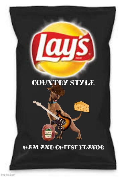 if scooby was on a bag of potato chips | COUNTRY STYLE; HAM AND CHEESE FLAVOR | image tagged in lays do us a flavor blank black,warner bros,scooby doo,country music,potato chips | made w/ Imgflip meme maker