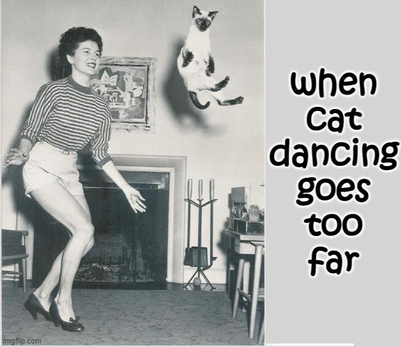 Cat Dancing isn't a Natural Activity of Felis Catus |  when
cat
dancing
goes
too
far | image tagged in vince vance,cats,meow,dancing,i love cats,funny cat memes | made w/ Imgflip meme maker