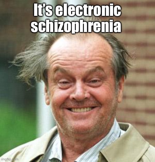 Jack Nicholson Crazy Hair | It’s electronic schizophrenia | image tagged in jack nicholson crazy hair | made w/ Imgflip meme maker