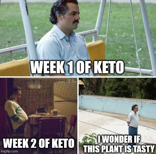 The struggle is real | WEEK 1 OF KETO; WEEK 2 OF KETO; I WONDER IF THIS PLANT IS TASTY | image tagged in memes,sad pablo escobar,keto | made w/ Imgflip meme maker