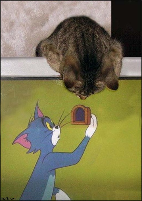 I'll Help You Tom ! | image tagged in cats,help,tom and jerry | made w/ Imgflip meme maker