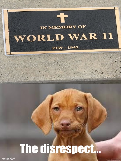 The disrespect | The disrespect... | image tagged in disappointed dog,disrespect,veterans | made w/ Imgflip meme maker
