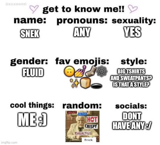 get to know me | YES; ANY; SNEK; BIG TSHIRTS AND SWEATPANTS? IS THAT A STYLE? 🙃💅🧦🕸
✨🍞🕳; FLUID; ME :); DONT HAVE ANY :/ | image tagged in get to know me | made w/ Imgflip meme maker