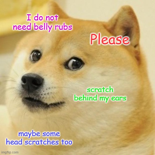 Doge Meme | I do not need belly rubs; Please; scratch behind my ears; maybe some head scratches too | image tagged in memes,doge | made w/ Imgflip meme maker