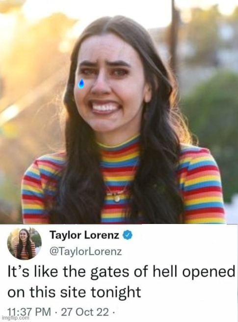Libs of Twitter - "Gates of Hell" | image tagged in taylor,liberals,censorship,liberal tears,elon musk | made w/ Imgflip meme maker