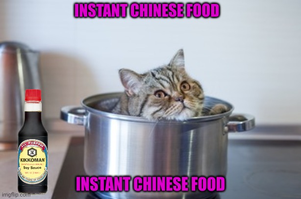 You forgot to cook this. | INSTANT CHINESE FOOD; INSTANT CHINESE FOOD | image tagged in instant,chinese food,meow,nom nom nom | made w/ Imgflip meme maker