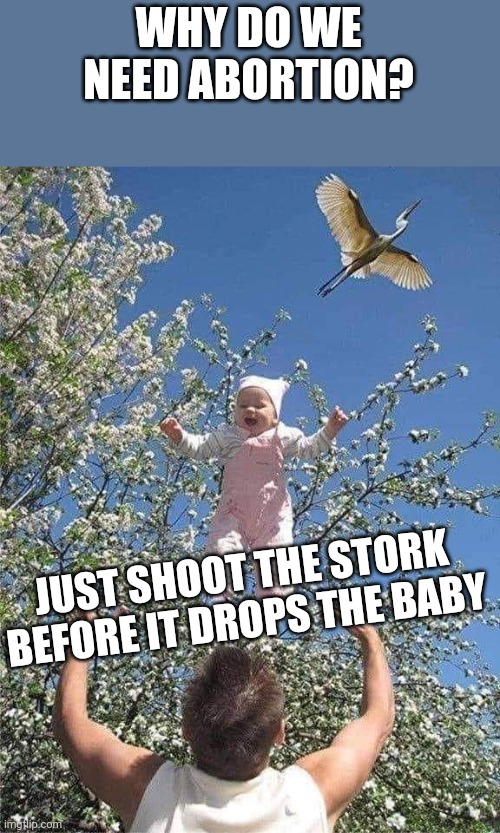 Baby | WHY DO WE NEED ABORTION? JUST SHOOT THE STORK BEFORE IT DROPS THE BABY | image tagged in baby | made w/ Imgflip meme maker