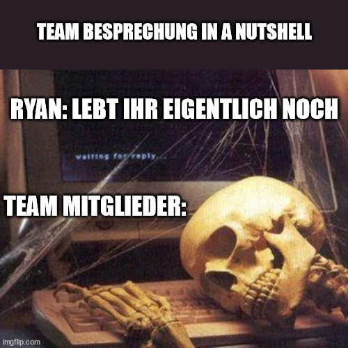 Dead Skeleton |  TEAM BESPRECHUNG IN A NUTSHELL; RYAN: LEBT IHR EIGENTLICH NOCH; TEAM MITGLIEDER: | image tagged in dead skeleton | made w/ Imgflip meme maker