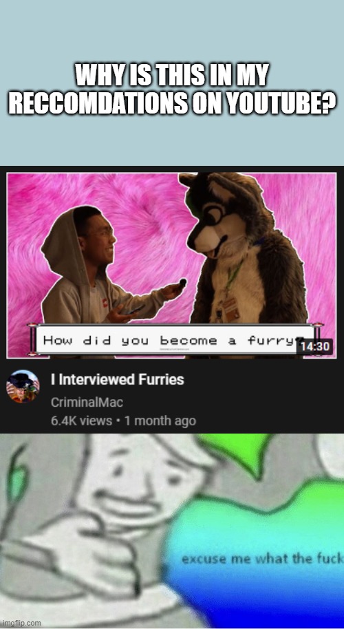 Seriously, just why? |  WHY IS THIS IN MY RECCOMDATIONS ON YOUTUBE? | image tagged in excuse me wtf blank template,furries,youtube | made w/ Imgflip meme maker