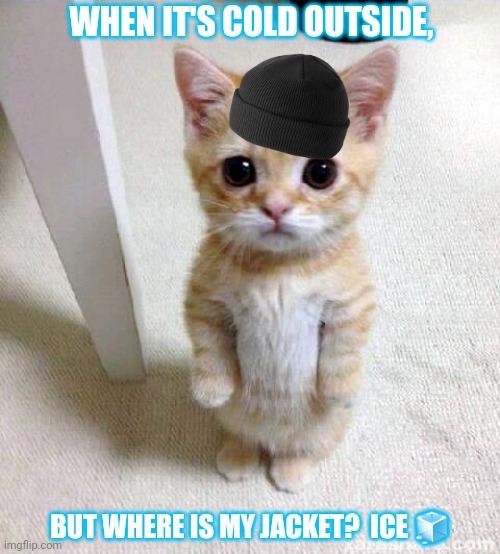 I need something warm please? ? | WHEN IT'S COLD OUTSIDE, BUT WHERE IS MY JACKET?  ICE 🧊 | image tagged in memes,cute cat | made w/ Imgflip meme maker