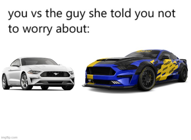 DEFINATLEY nothing to worry about | image tagged in you vs the guy she told you not to worry about,memes,funny,memenade | made w/ Imgflip meme maker