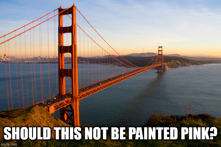 San Francisco | SHOULD THIS NOT BE PAINTED PINK? | image tagged in san francisco | made w/ Imgflip meme maker