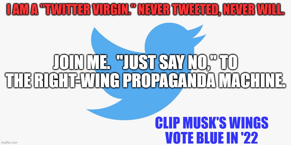 "Elon Musk," Donald Trump with a different hairdresser. | I AM A "TWITTER VIRGIN." NEVER TWEETED, NEVER WILL. JOIN ME.  "JUST SAY NO," TO THE RIGHT-WING PROPAGANDA MACHINE. CLIP MUSK'S WINGS
VOTE BLUE IN '22 | image tagged in twitter | made w/ Imgflip meme maker