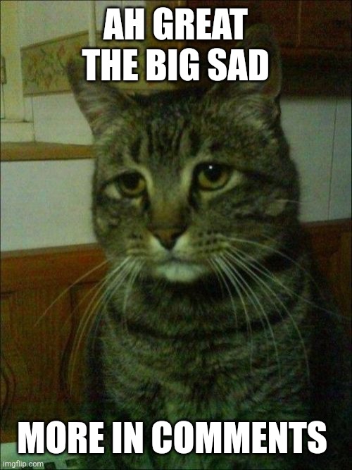 Depressed Cat | AH GREAT THE BIG SAD; MORE IN COMMENTS | image tagged in memes,depressed cat,depression,why | made w/ Imgflip meme maker