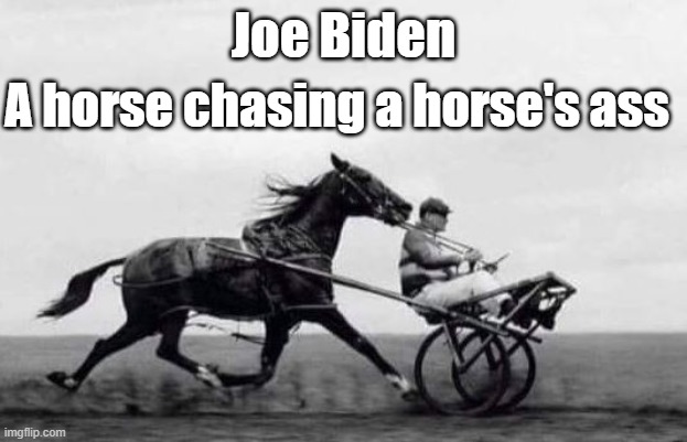 Horse's ass | Joe Biden; A horse chasing a horse's ass | image tagged in biden | made w/ Imgflip meme maker
