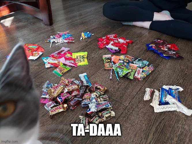 TA-DAAA | made w/ Imgflip meme maker