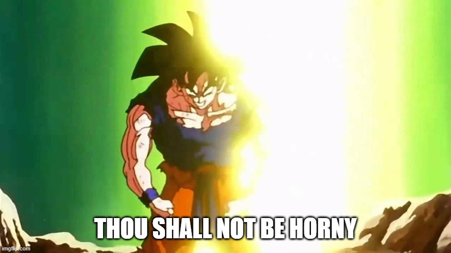 Angry Goku | THOU SHALL NOT BE HORNY | image tagged in angry goku | made w/ Imgflip meme maker