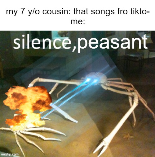 SILENCE I SAY! | my 7 y/o cousin: that songs fro tikto-
me:; peasant | image tagged in memes,funny,memenade,tiktok | made w/ Imgflip meme maker