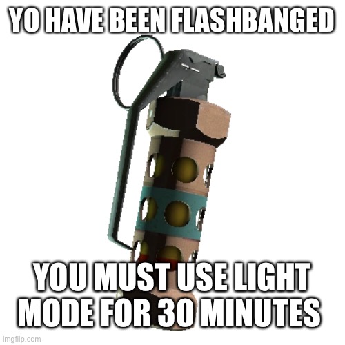 Flashbang mother f#^#%r | YO HAVE BEEN FLASHBANGED; YOU MUST USE LIGHT MODE FOR 30 MINUTES | image tagged in funny | made w/ Imgflip meme maker