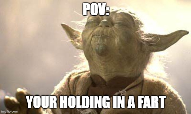 so true | POV:; YOUR HOLDING IN A FART | image tagged in yoda meditating | made w/ Imgflip meme maker