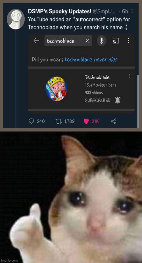 Youve done good YouTube | image tagged in approved crying cat,technoblade | made w/ Imgflip meme maker
