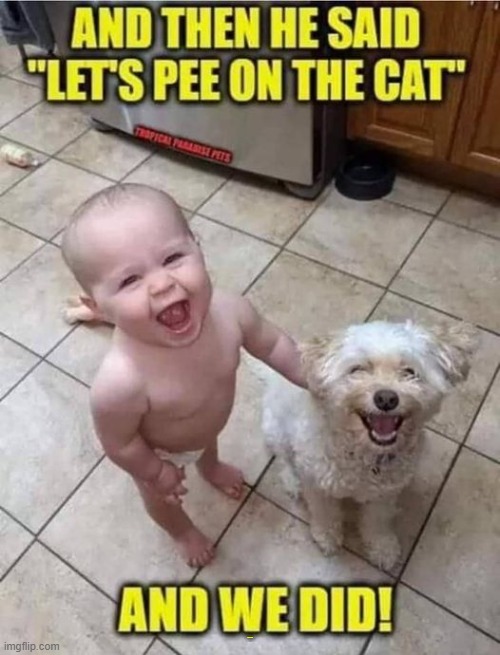 and he said :-) | AND THEN HE SAID LETS PEE ON THE CAT; AND WE DID | image tagged in todlar,bad pun dog | made w/ Imgflip meme maker