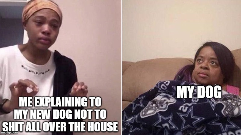 don't do it daisy | MY DOG; ME EXPLAINING TO MY NEW DOG NOT TO SHIT ALL OVER THE HOUSE | image tagged in me explaining to my mom,dog,poop,shit | made w/ Imgflip meme maker