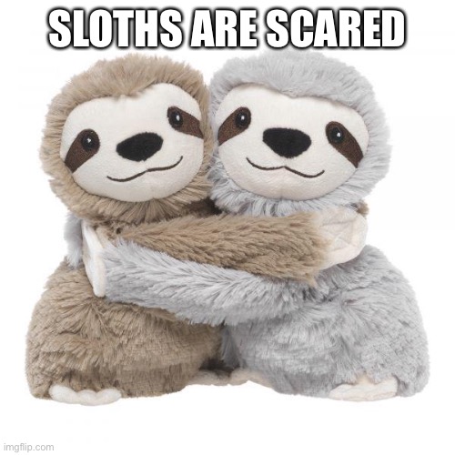 Stuffed animals | SLOTHS ARE SCARED | image tagged in stuffed animals | made w/ Imgflip meme maker