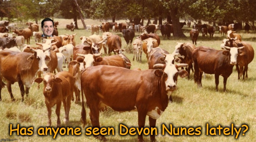 #DevonNunesCow | image tagged in devon nunes,truth social,cow farmer,failed businessman,trump lackey | made w/ Imgflip meme maker