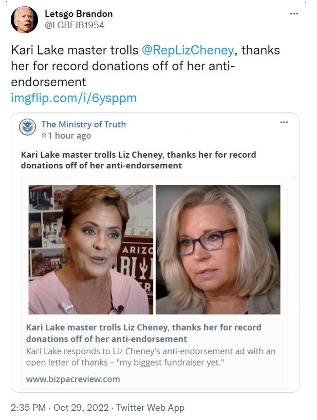 Letsgo Brandon trolls Liz Cheney with Kari Lake meme | image tagged in lets go brandon,kari lake,liz cheney,trolling the troll,trolling,lgbfjb | made w/ Imgflip meme maker