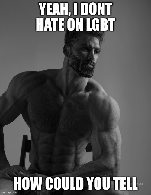 go away smooth brain homophobics. | YEAH, I DONT HATE ON LGBT; HOW COULD YOU TELL | image tagged in virgin | made w/ Imgflip meme maker