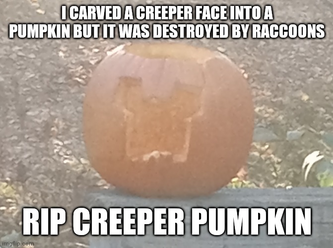 I was gonna post a creeper jack-o'-lantern but his happened | I CARVED A CREEPER FACE INTO A PUMPKIN BUT IT WAS DESTROYED BY RACCOONS; RIP CREEPER PUMPKIN | image tagged in rip,f,minecraft,why are you reading this | made w/ Imgflip meme maker