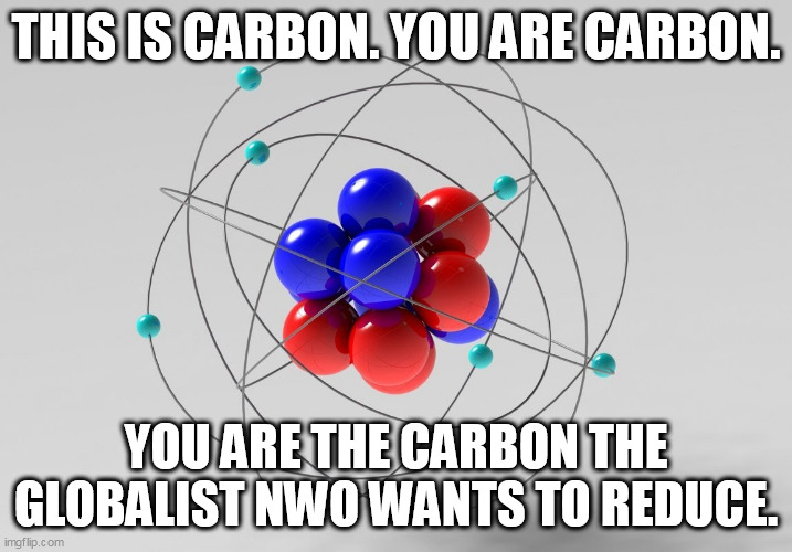 Curbin' Carbon. | THIS IS CARBON. YOU ARE CARBON. YOU ARE THE CARBON THE GLOBALIST NWO WANTS TO REDUCE. | image tagged in nwo,carbon footprint,climate change | made w/ Imgflip meme maker