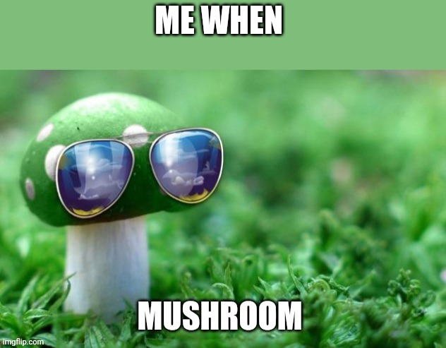Mushroom |  ME WHEN | image tagged in mushroom,sunglasses,memes,funny | made w/ Imgflip meme maker