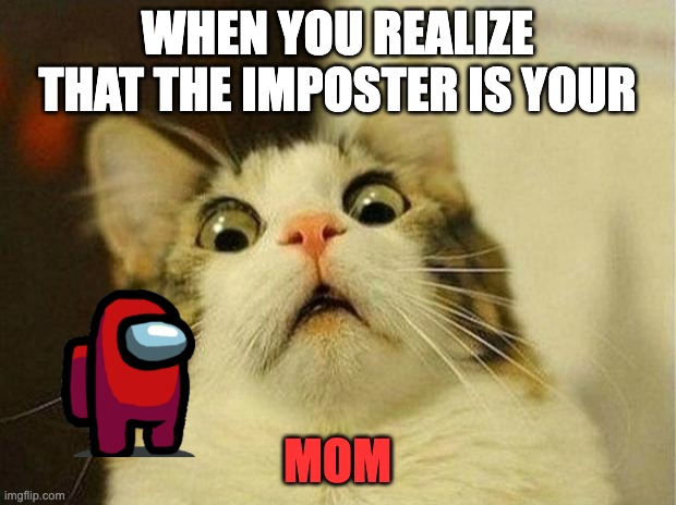 Scared Cat Meme | WHEN YOU REALIZE THAT THE IMPOSTER IS YOUR; MOM | image tagged in memes,scared cat | made w/ Imgflip meme maker