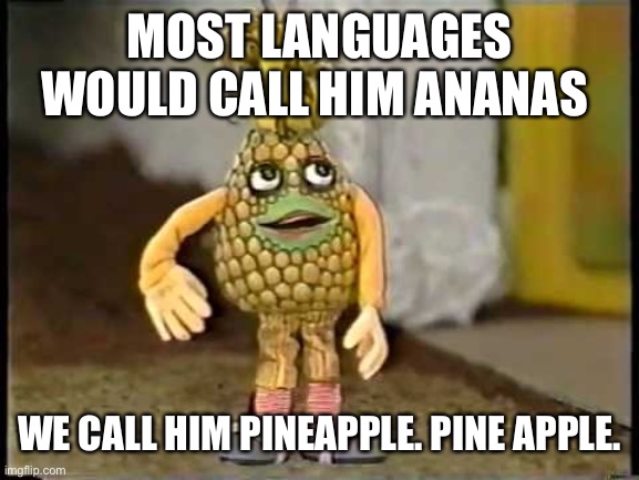 Ananas | MOST LANGUAGES WOULD CALL HIM ANANAS WE CALL HIM PINEAPPLE. PINE APPLE. | image tagged in ananas | made w/ Imgflip meme maker