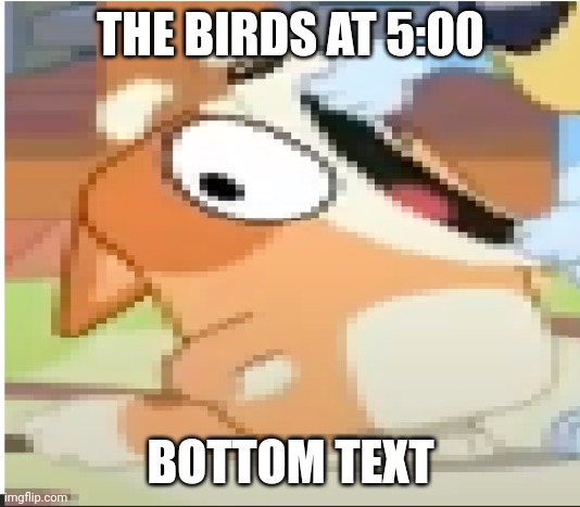 bingo shouting | THE BIRDS AT 5:00; BOTTOM TEXT | image tagged in bingo shouting,memes | made w/ Imgflip meme maker