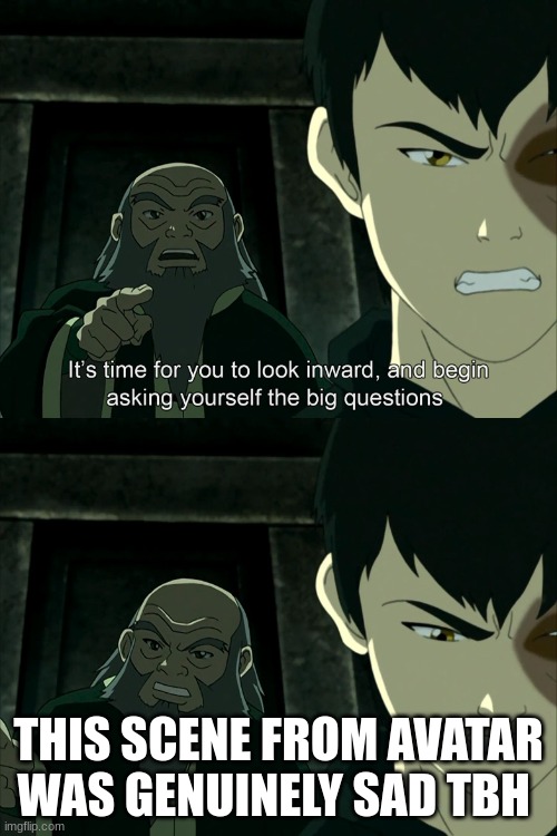 probably of one the best shows that nick has ever made | THIS SCENE FROM AVATAR WAS GENUINELY SAD TBH | image tagged in it's time to start asking yourself the big questions meme | made w/ Imgflip meme maker