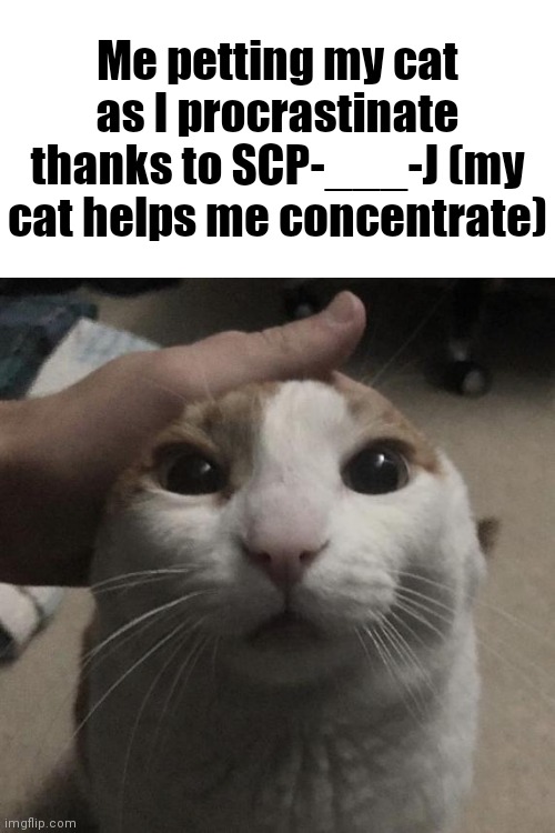 :) | Me petting my cat as I procrastinate thanks to SCP-___-J (my cat helps me concentrate) | image tagged in me petting my cat,scp-___-j,scp meme,scp,cats,cat | made w/ Imgflip meme maker