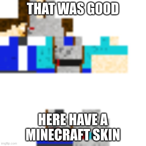 good insult man | THAT WAS GOOD HERE HAVE A MINECRAFT SKIN | image tagged in memes | made w/ Imgflip meme maker