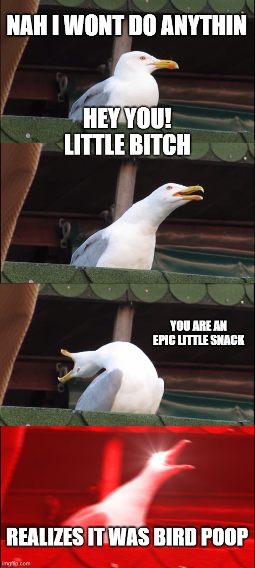ANGRY BIRD | NAH I WONT DO ANYTHIN; HEY YOU! LITTLE BITCH; YOU ARE AN EPIC LITTLE SNACK; REALIZES IT WAS BIRD POOP | image tagged in memes,inhaling seagull | made w/ Imgflip meme maker